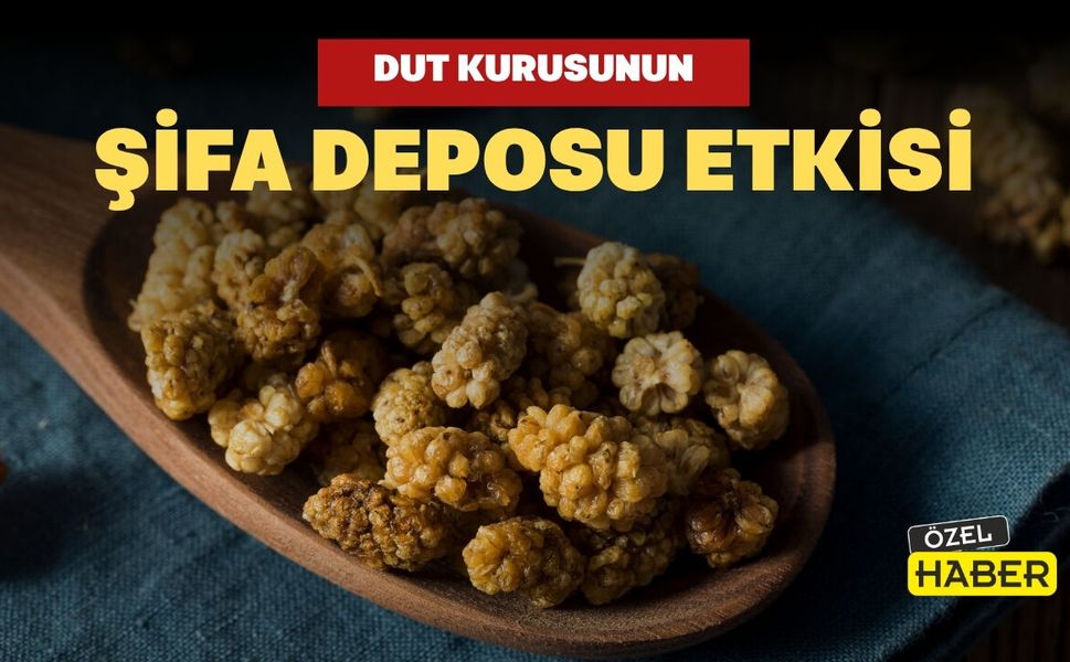 Dut Kurusunun Şifa Deposu Etkisi İlgi Görüyor