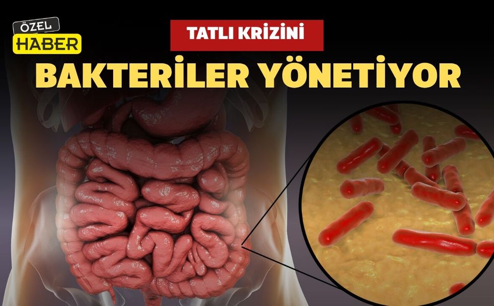 Uşaklı Diyetisyenden Şaşırtan Gerçek: Tatlı Krizini Bakteriler Yönetiyor