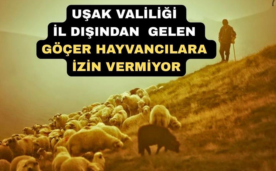 Uşak Valiliği il dışından gelen göçer hayvancılara İzin Vermiyor