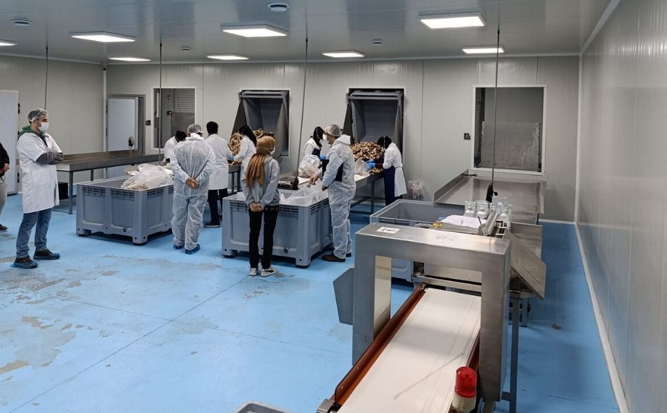 Uşak’ta Yem Denetimi Alarmı