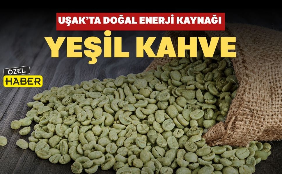 Uşak’ta Doğal Enerji Kaynağı: Yeşil Kahve