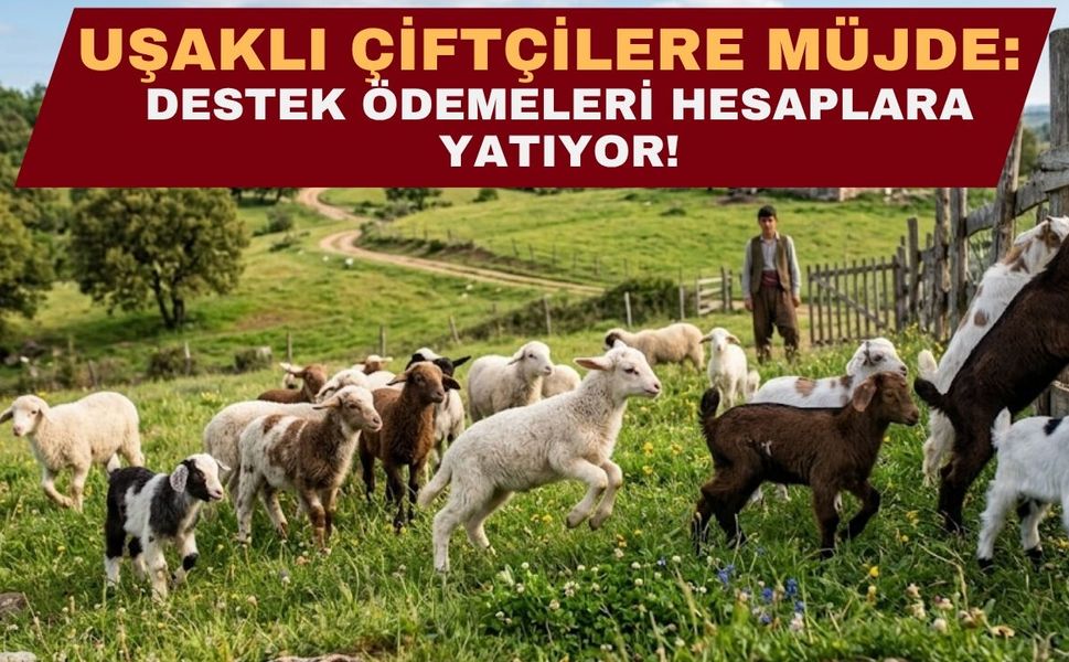 Uşaklı Çiftçilere Müjde: Destek Ödemeleri Hesaplara Yatıyor!