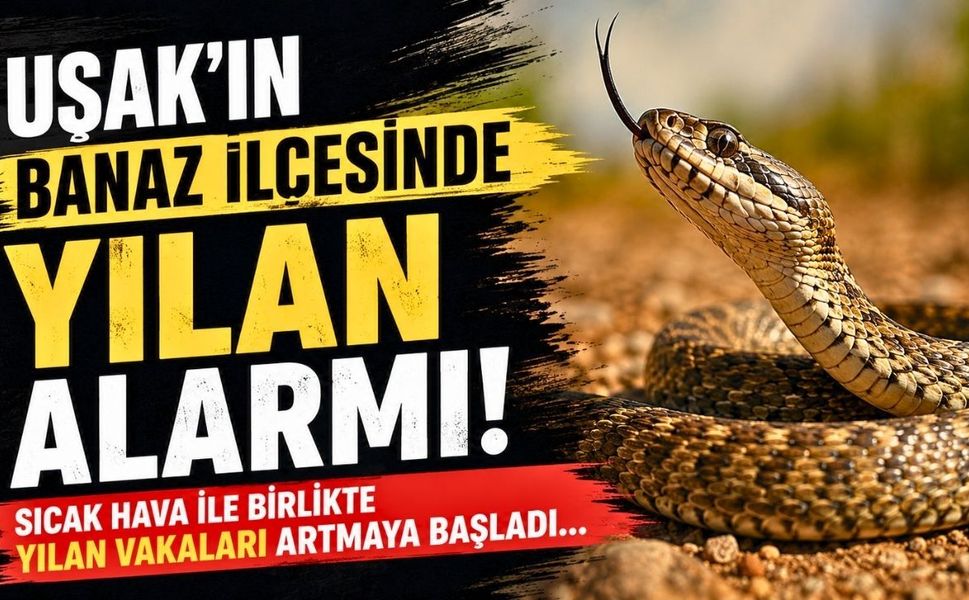 Uşak’ın Banaz ilçesinde Yılan Alarmı