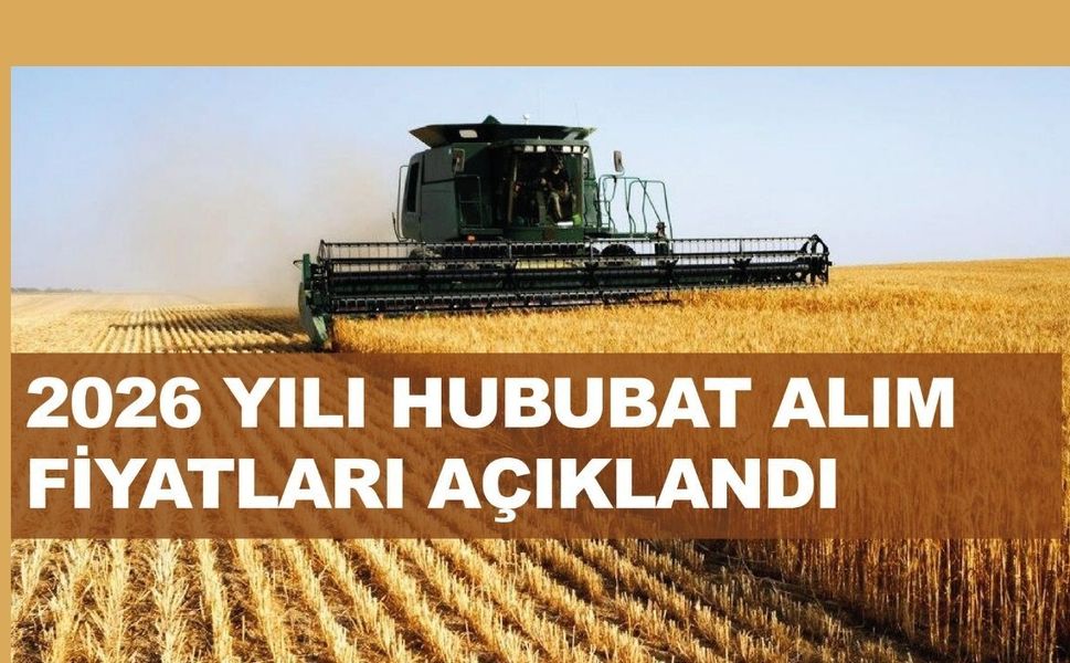 TMO 2026 Yılı Hububat Alım ve Satım Fiyatlarını Belirledi