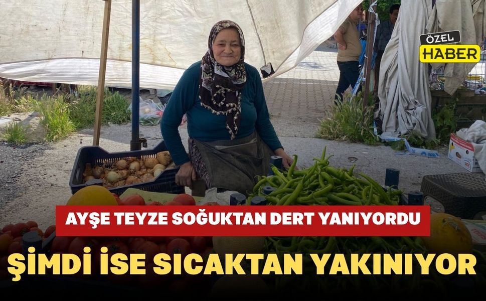 Ayşe Teyze Soğuktan Dert Yanıyordu, Şimdi İse Sıcaktan Yakınıyor