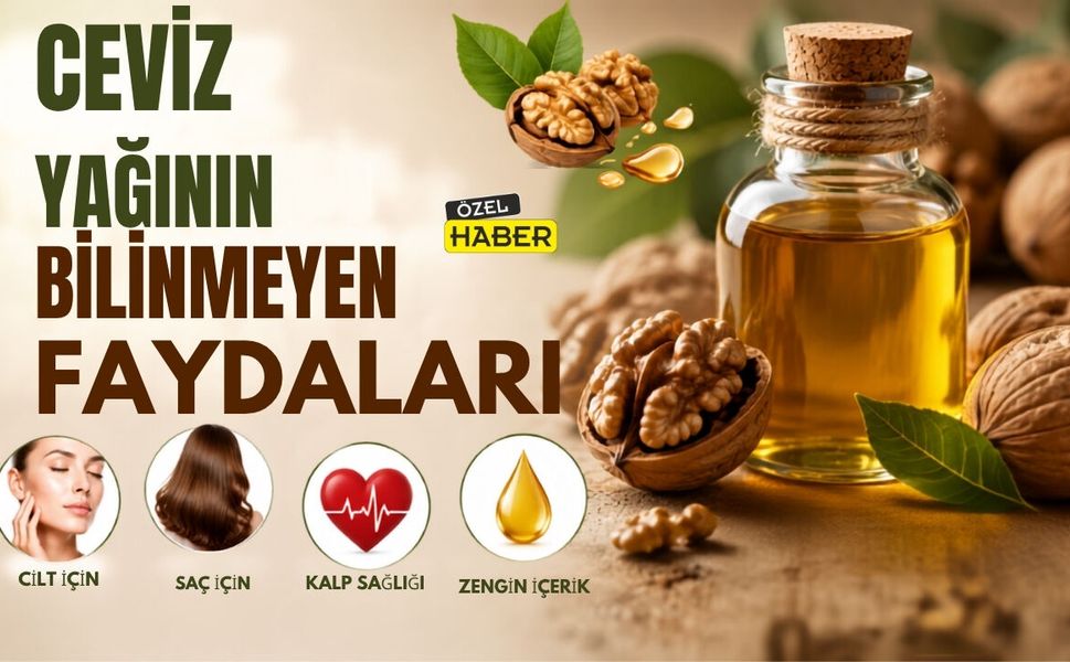 Ceviz Yağının Bilinmeyen Faydaları