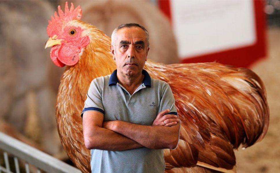 Uşak’ın Beyaz Et Devinden Sevindirici Bir Haber