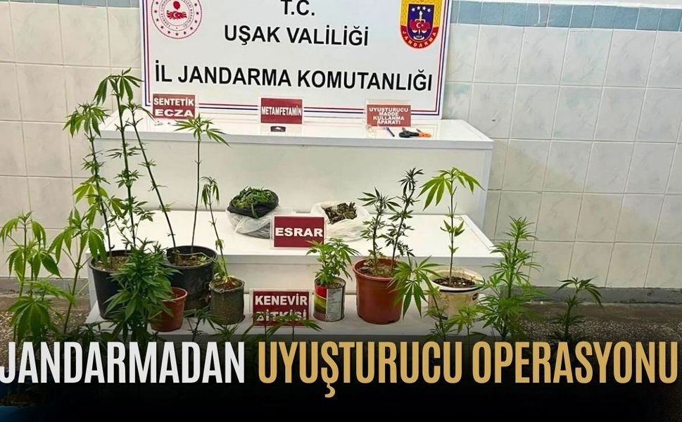 Uşak merkezde esrar ve kenevir yakalandı