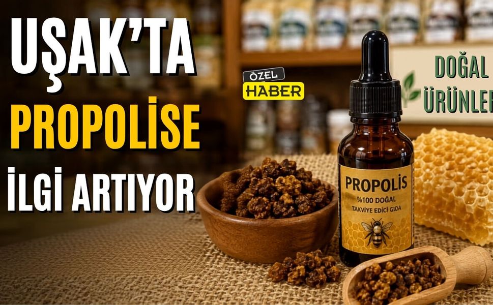 Uşak’ta Propolise İlgi Artıyor