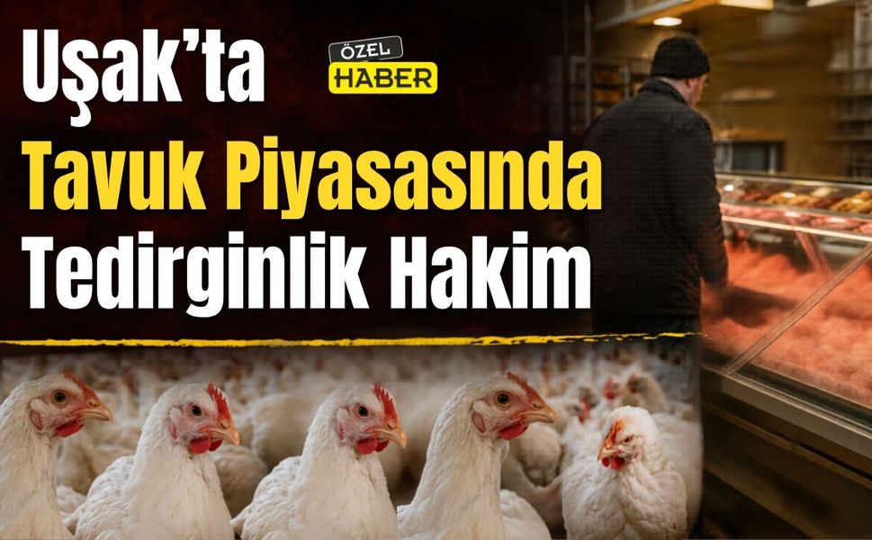 Uşak’ta Tavuk Piyasasında Tedirginlik Hakim