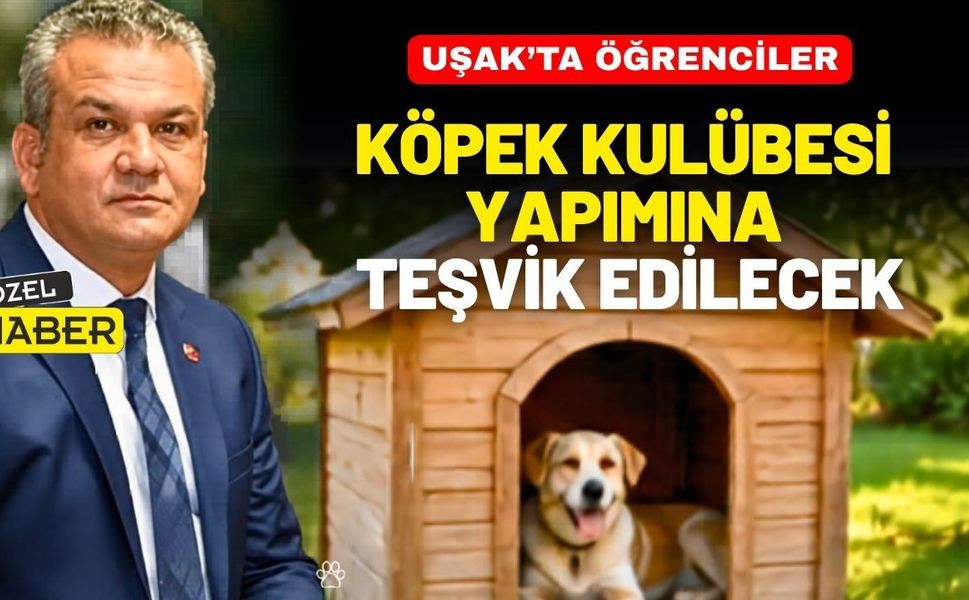 Uşak’ta öğrenciler köpek kulübesi yapımına teşvik edilecek