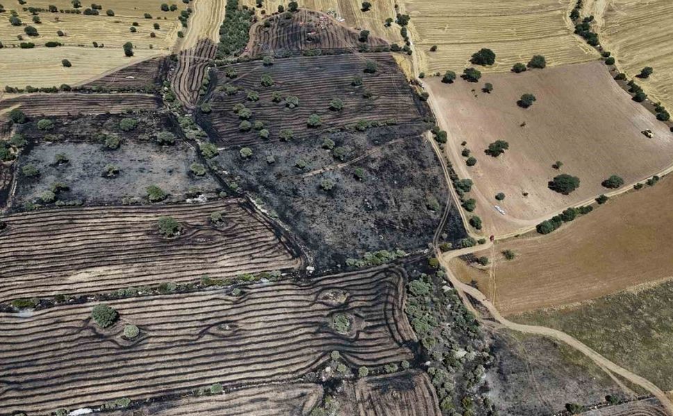 Uşak’ta 300 dekar ekili arpa ve buğday yandı