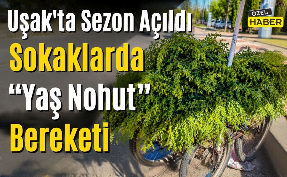 Uşak’ta Sezon Açıldı: Sokaklarda “Yaş Nohut” Bereketi
