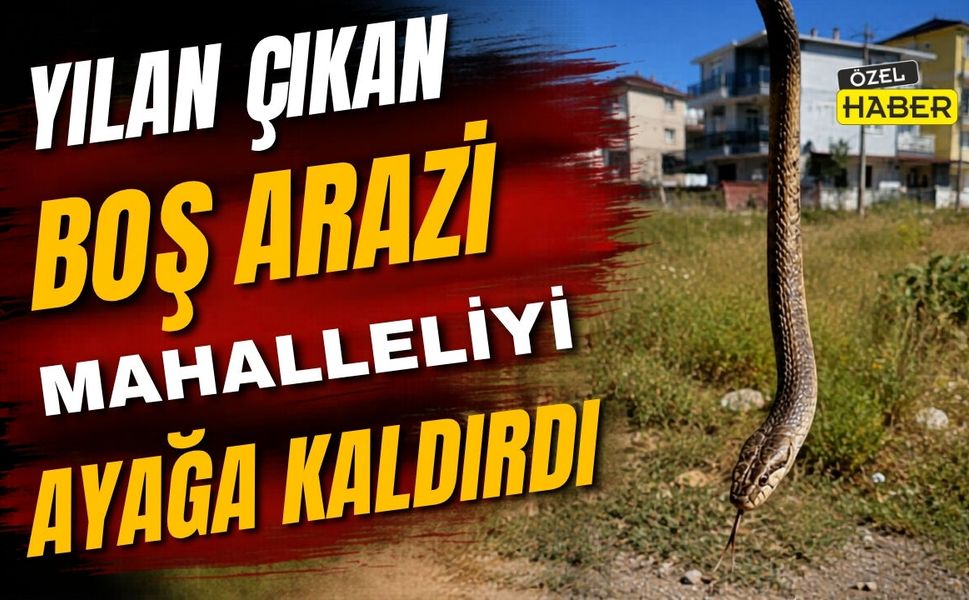 Yılan Çıkan Boş Arazi Mahalleliyi Ayağa Kaldırdı