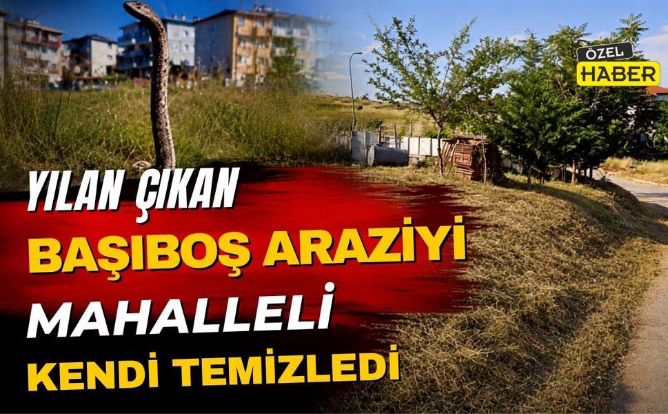 Yılan Çıkan Başıboş Araziyi Mahalleli Kendi Temizledi
