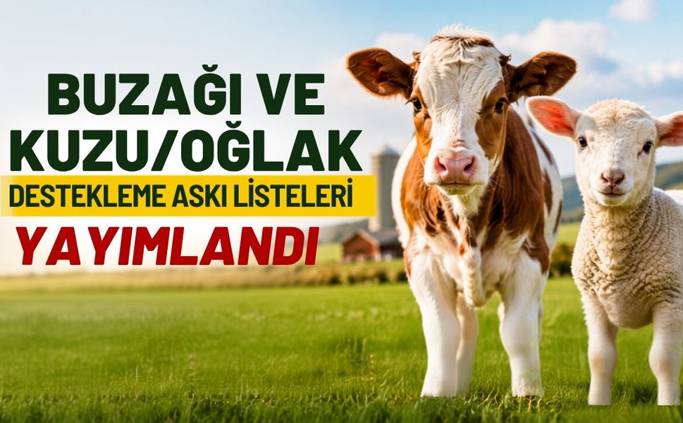 Buzağı ve Kuzu/Oğlak Desteklemesinde Askı Dönemi Başladı
