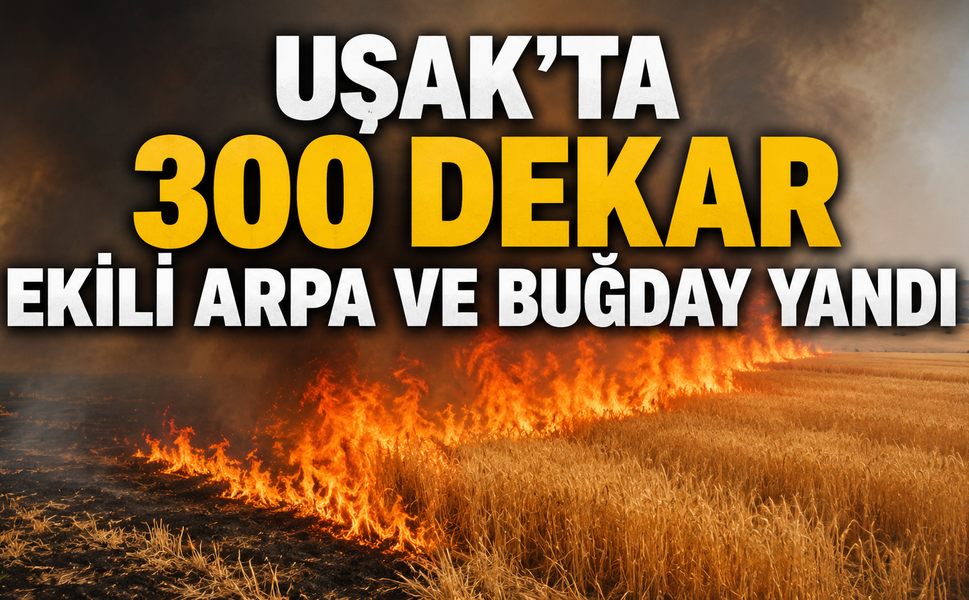 Uşak’ta 300 dekar ekili arpa ve buğday yandı