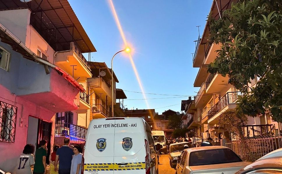 Uşak'ta dut toplamak isterken canından oldu