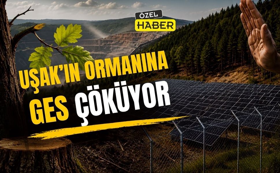 “Uşak’ın altını ve suyu gitti sıra ormanlarına mı geldi?”