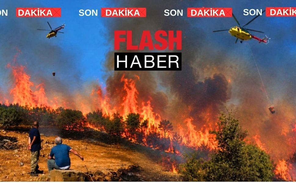 Uşak’ın Karahallı İlçesinde Orman Yangını