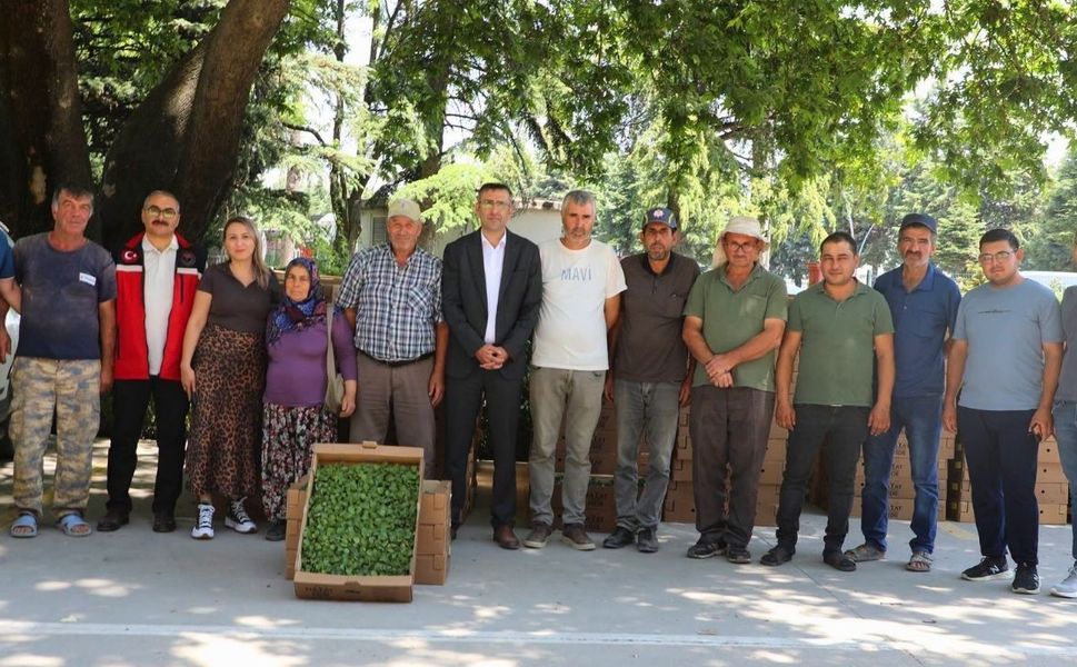 Uşak'ta Çiftçiye Dev Destek 255 Bin Sebze Fidesi Dağıtıldı