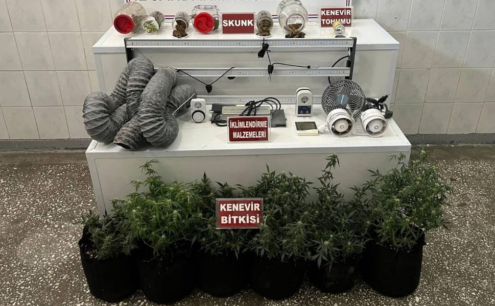Uşak'ta Ev Baskınında Skunk Serası Ortaya Çıkarıldı