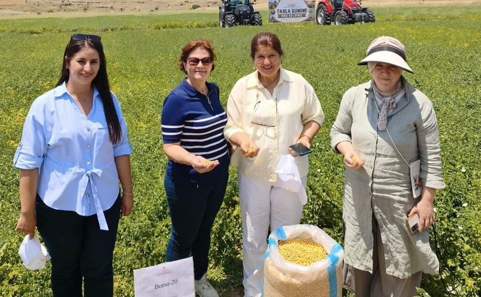 Uşak Çiftçisine Müjde  Yeni Nohut Tohumu Topraktan Güçlü Çıktı