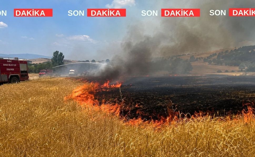 Uşak’ta ekili tarım arazileri yandı