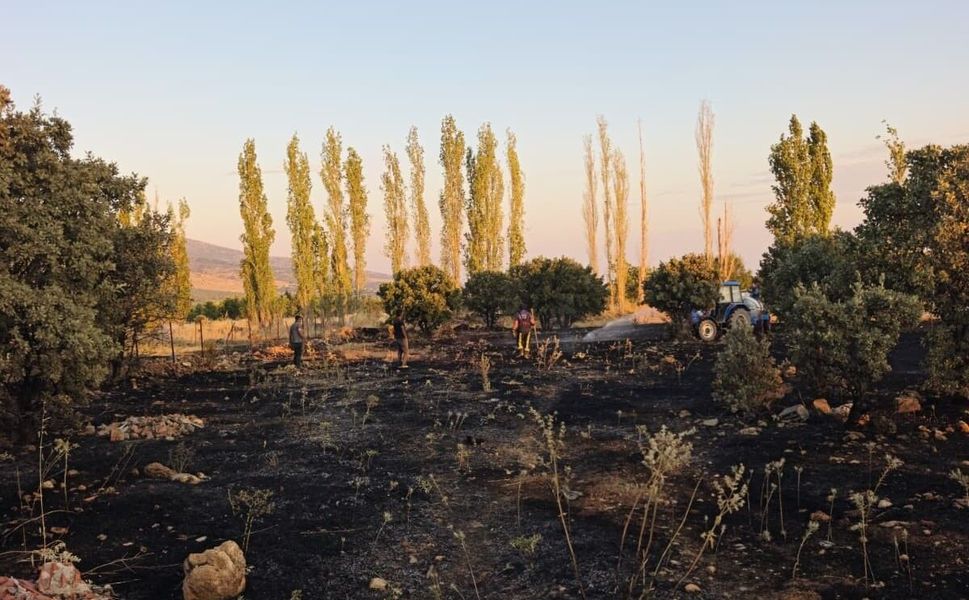 Uşak-Çivril Kara Yolunda Korkutan Yangın