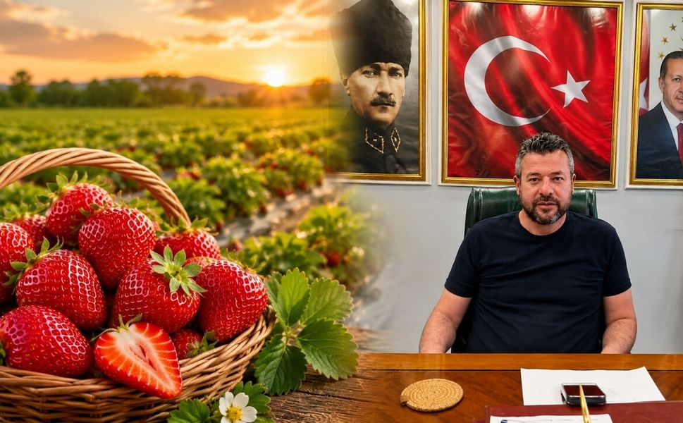 Sivaslı’da Çilek Festivali Hasreti Bitiyor