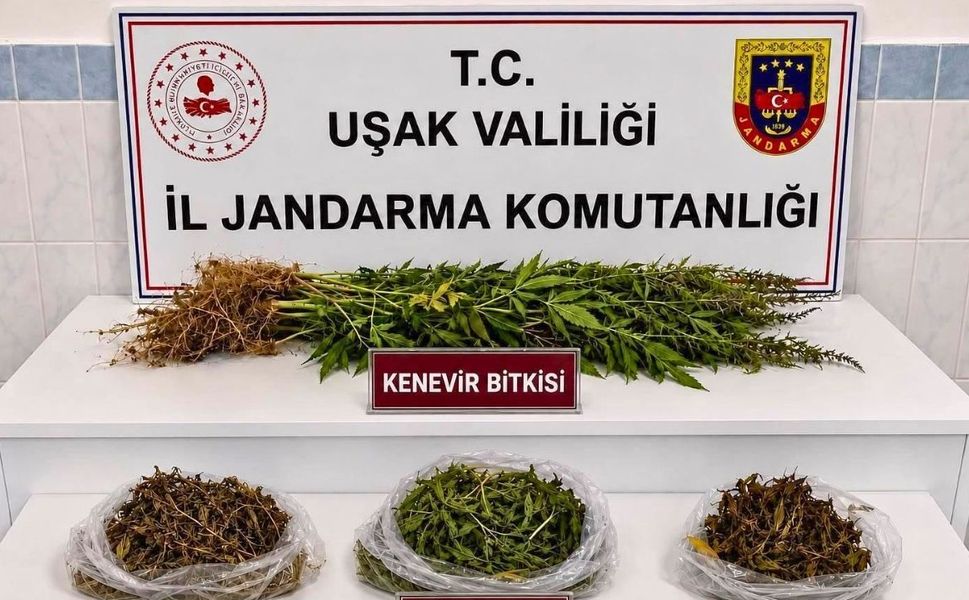 Uşak’ın Sivaslı İlçesinde Esrar ve Kaçak Sigara Operasyonu