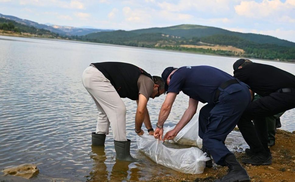 Uşak’ta 19 Gölete 433 Bin Yavru Balık Bırakıldı