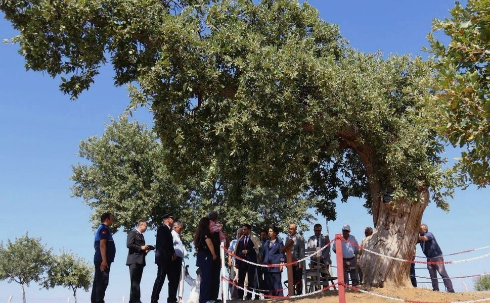 Uşak’ın Eşme İlçesi Kurtuluşunun 104. Yılını Coşkuyla Kutladı