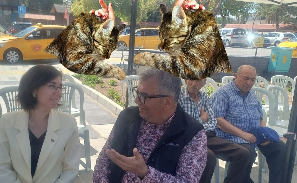 “Uşak’ın Sürgün (!) Kedisi Mia’daki Keyif Bey’de Yok”