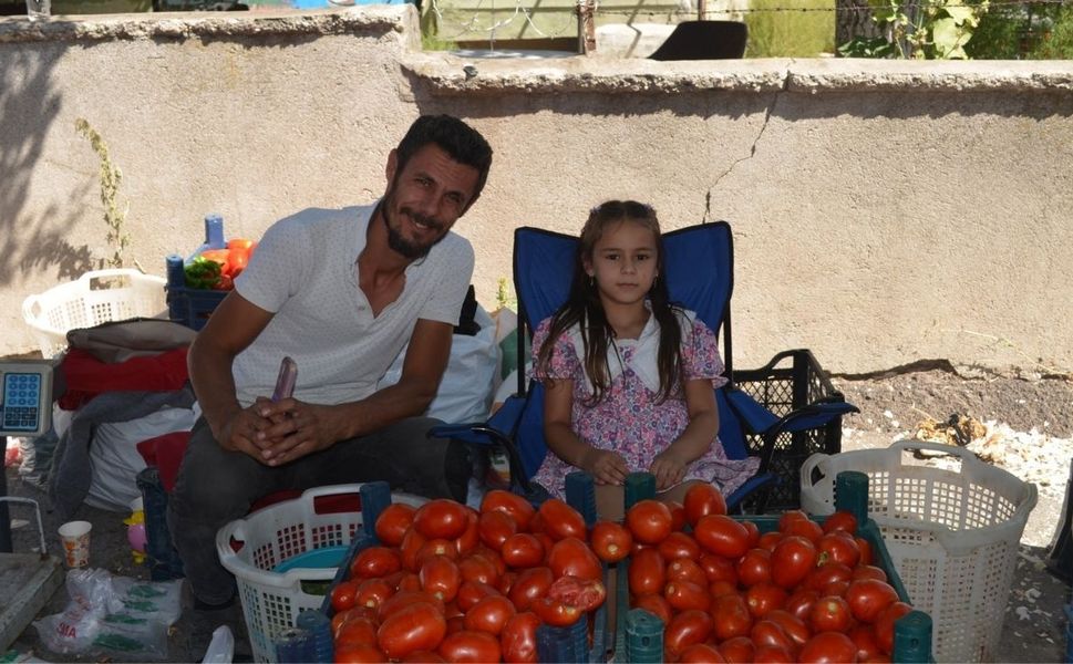 Salı Pazarı’ndan Güncel Sebze ve Meyve Fiyatları