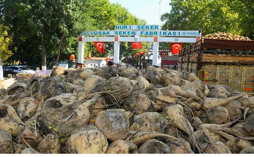 Nuri Şeker Uşak Şeker Fabrikası Sürekli İşçi Alımı Yapacak
