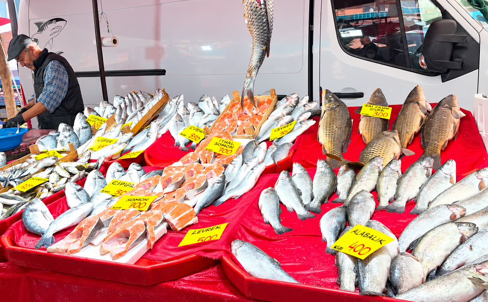 Uşak'ta Balık Fiyatları Belli Oldu! Hamsi 200 TL