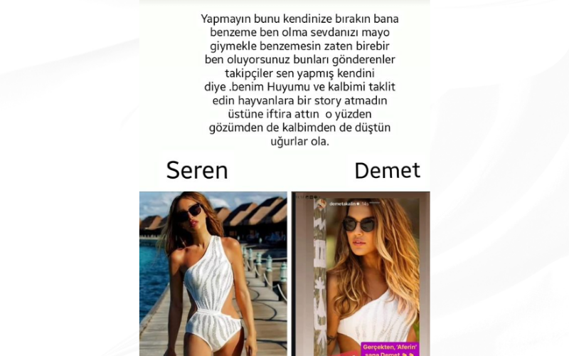 Demet Seren Kavga