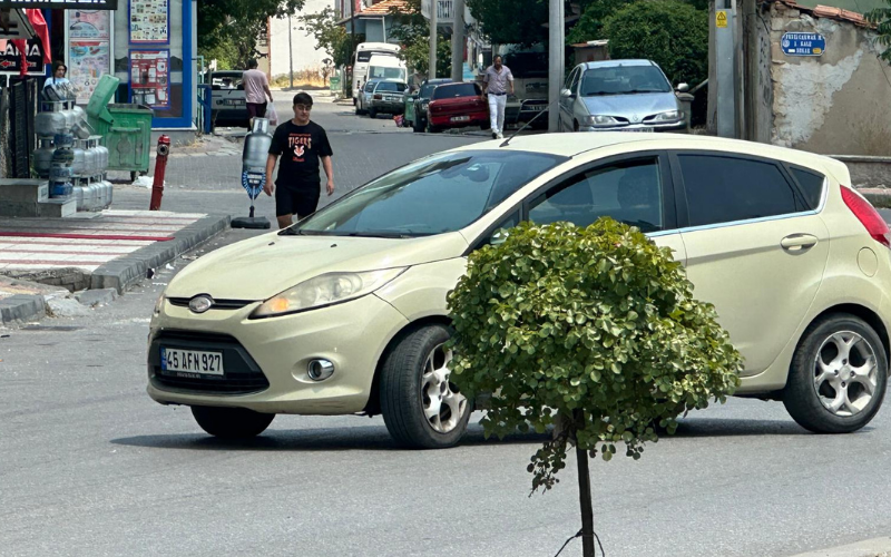 Trafik Kazası (1)