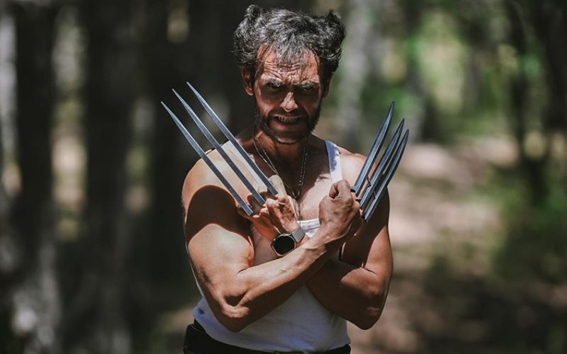 Wolverine (2)