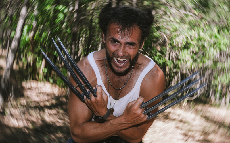 Wolverine