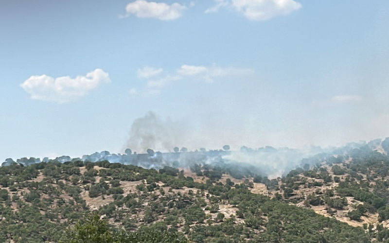 Yangın Uşak Manisa (2)