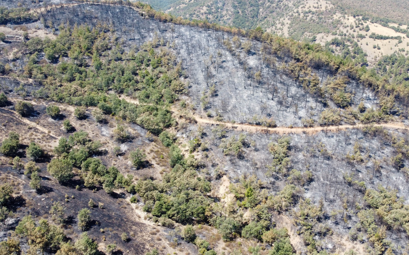 Uşak Yangını (2)-1