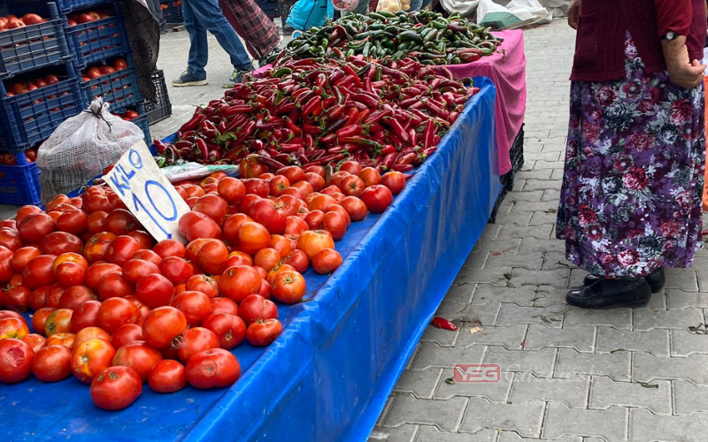 Domates Fiyatı