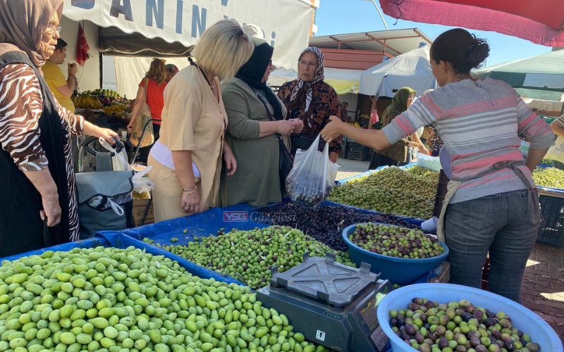 Zeytin Fiyatları