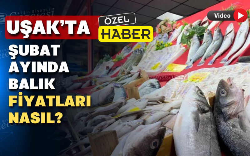 Uşak'ta Balık Fi̇yat