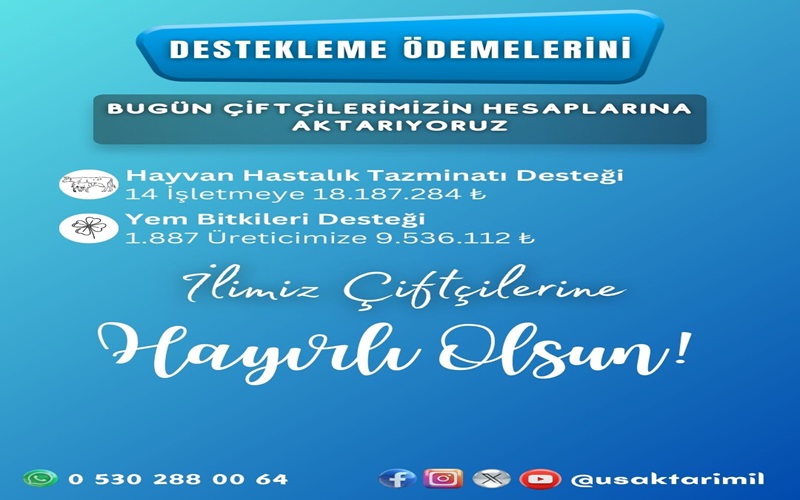 499538832 122159534336544242 1491069012794933091 N