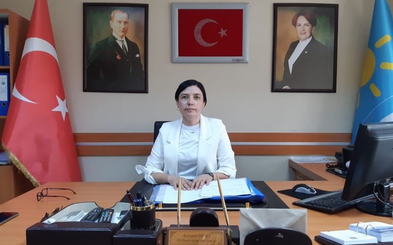 Aysegul-2