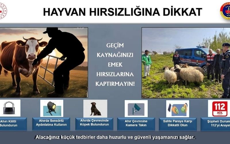 Hayvanhır