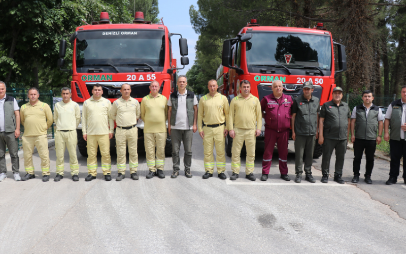 Orman Y İ